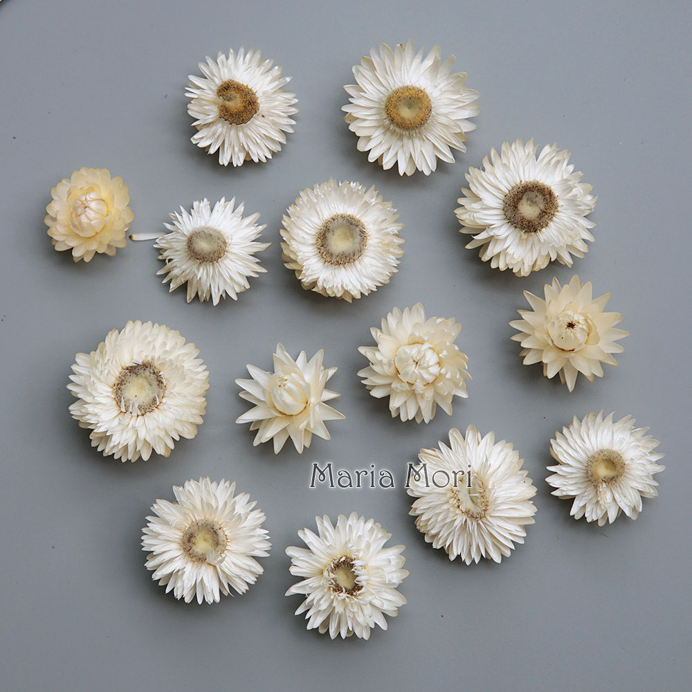 Natural Dried Colorful Chrysan - Holiday Candle Set review and price