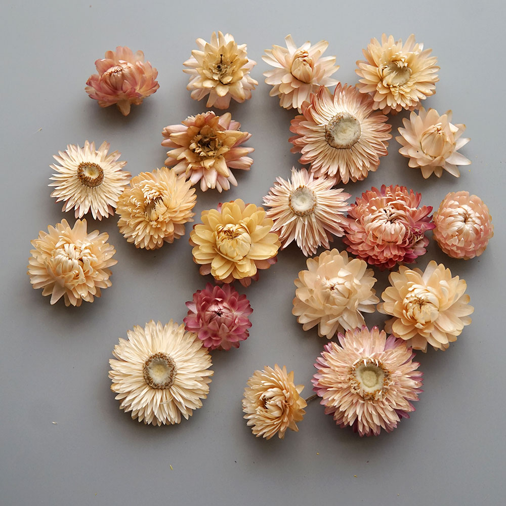 Natural Dried Colorful Chrysan - Holiday Candle Set review and price